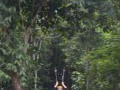 Tn DSC 4142